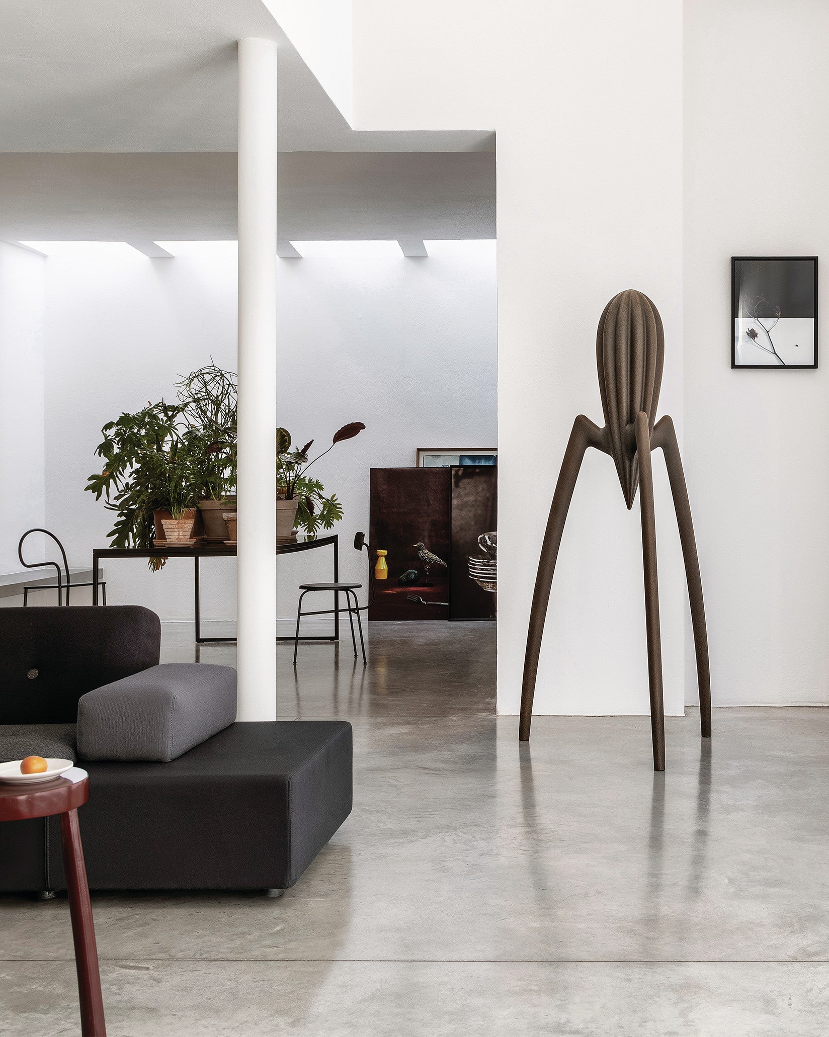 Alessi Juicy Salif XXL brown