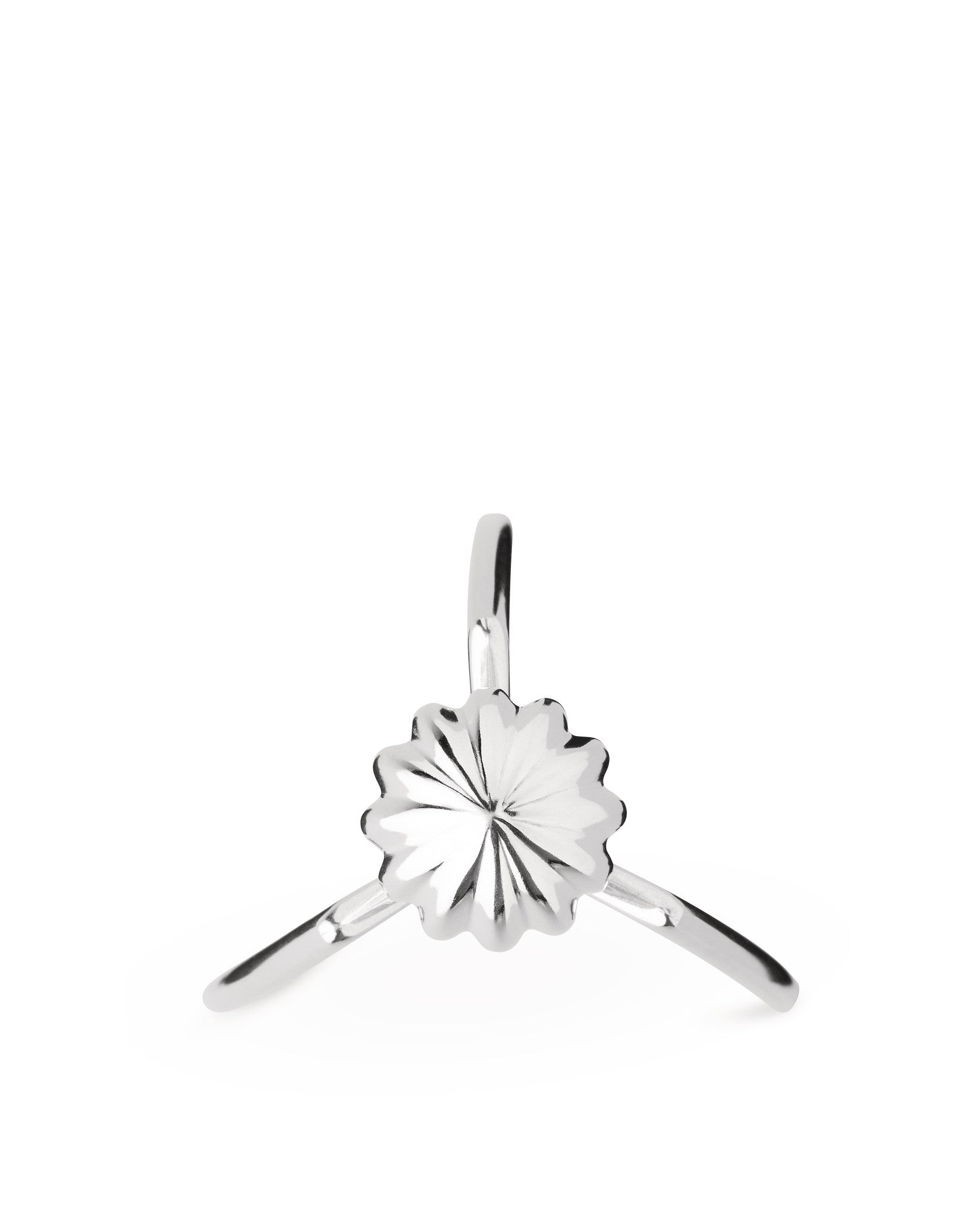 Juicy Salif