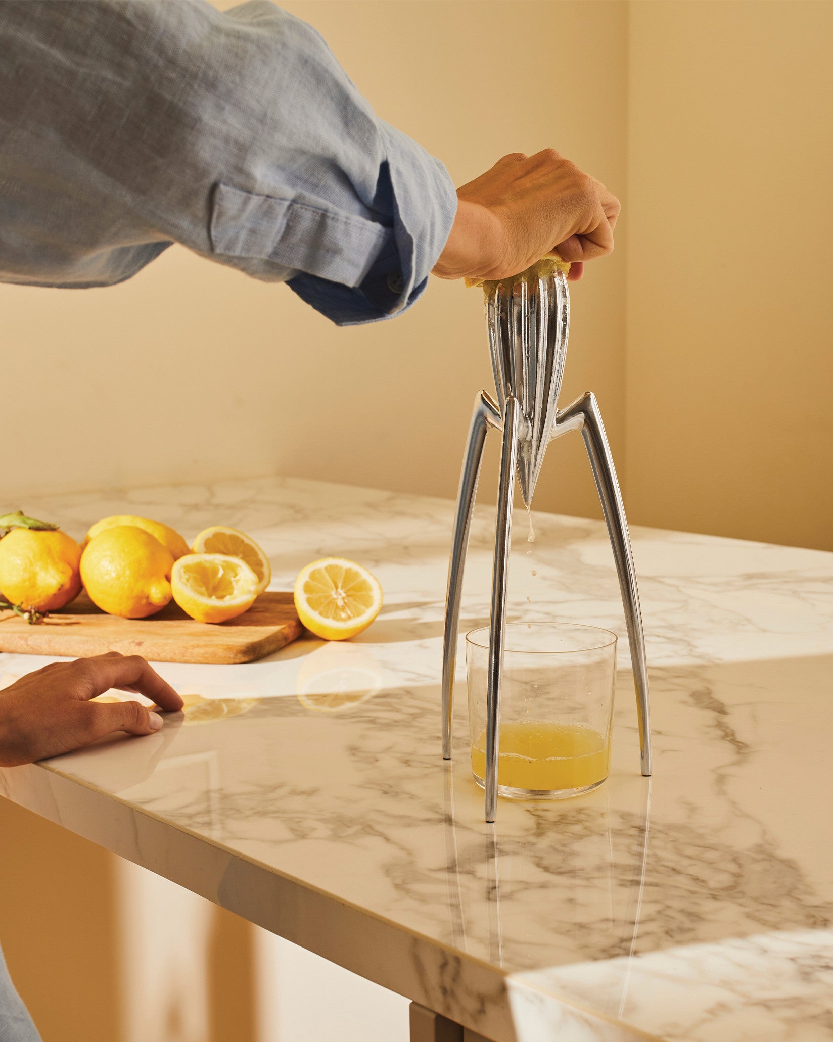 Juicer Citrus Squeezer For Accessories Stand Juicer Hand
