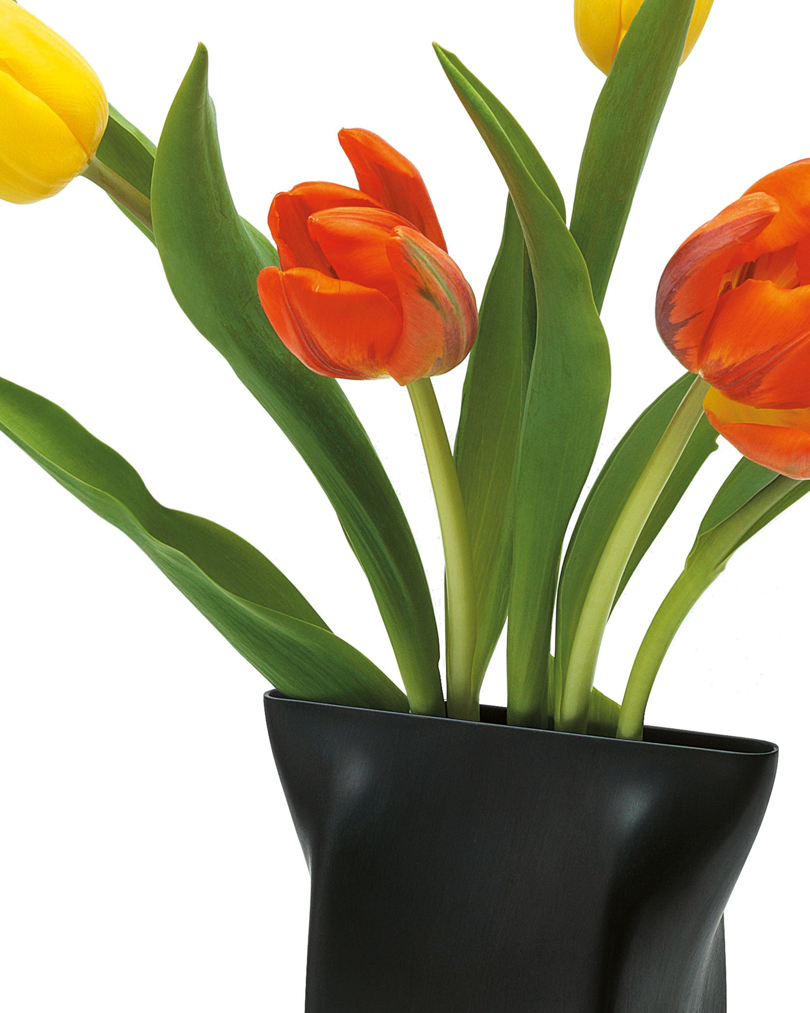 Homeware & Designer Home Accessories | Alessi – Page 6