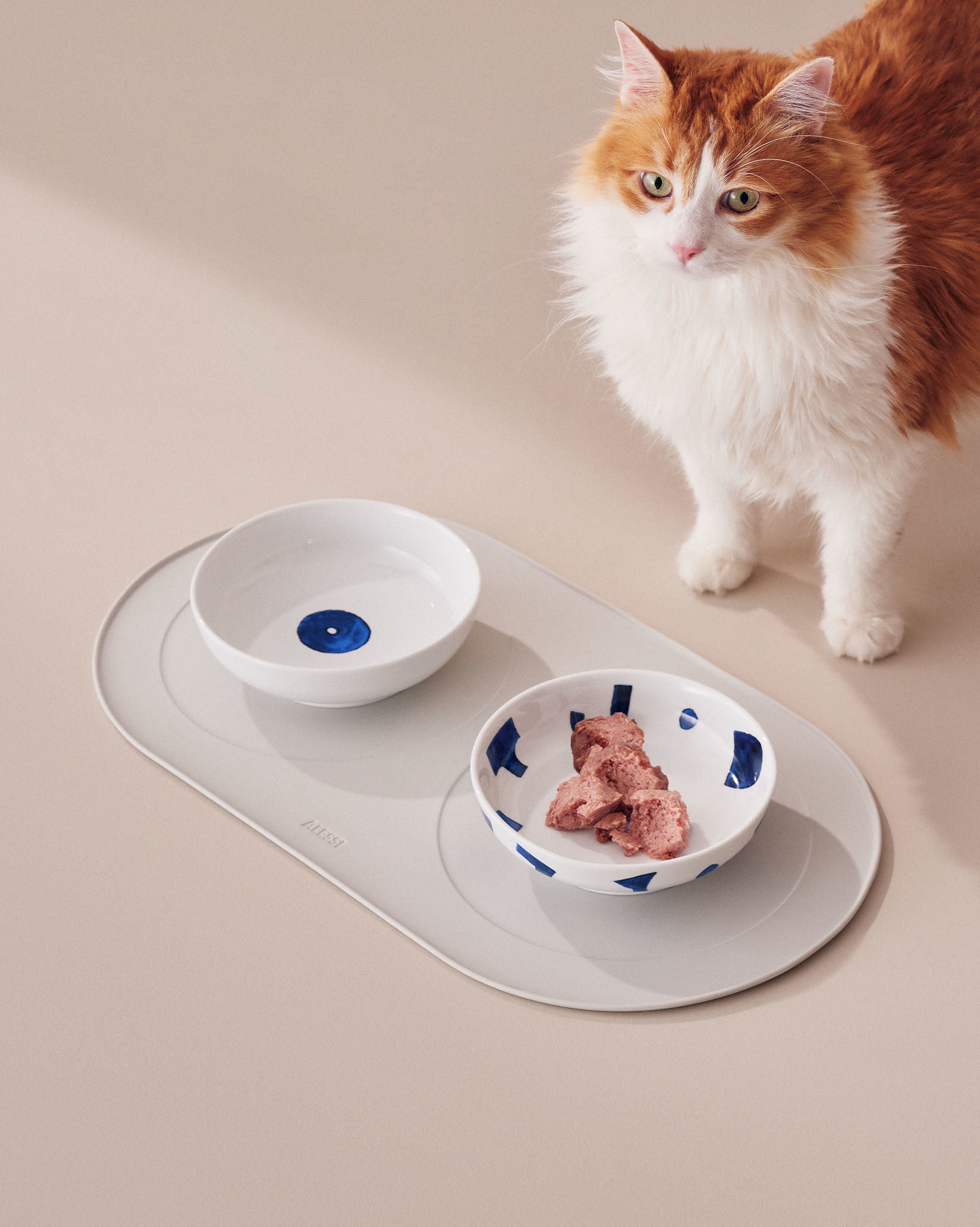 Itsumo Pet Yunoki Ware: Cat water bowl By Naoto Fukasawa | Alessi
