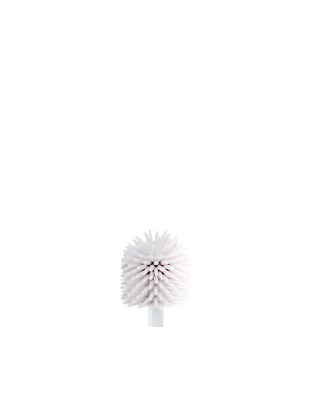 PL08-SCO_R.jpg