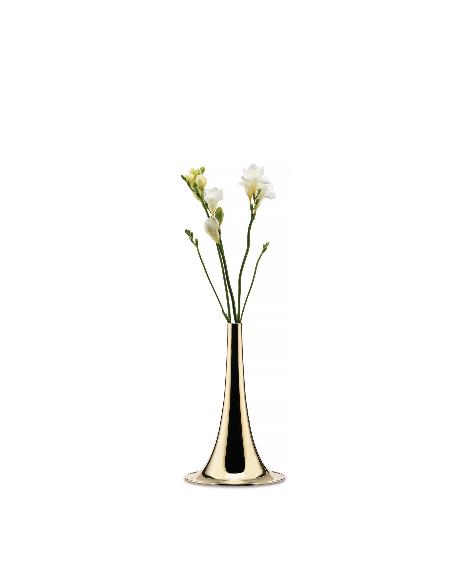 ALESSI 花瓶 Trumpet: Flower vase By Michael Anastassiades | Alessi