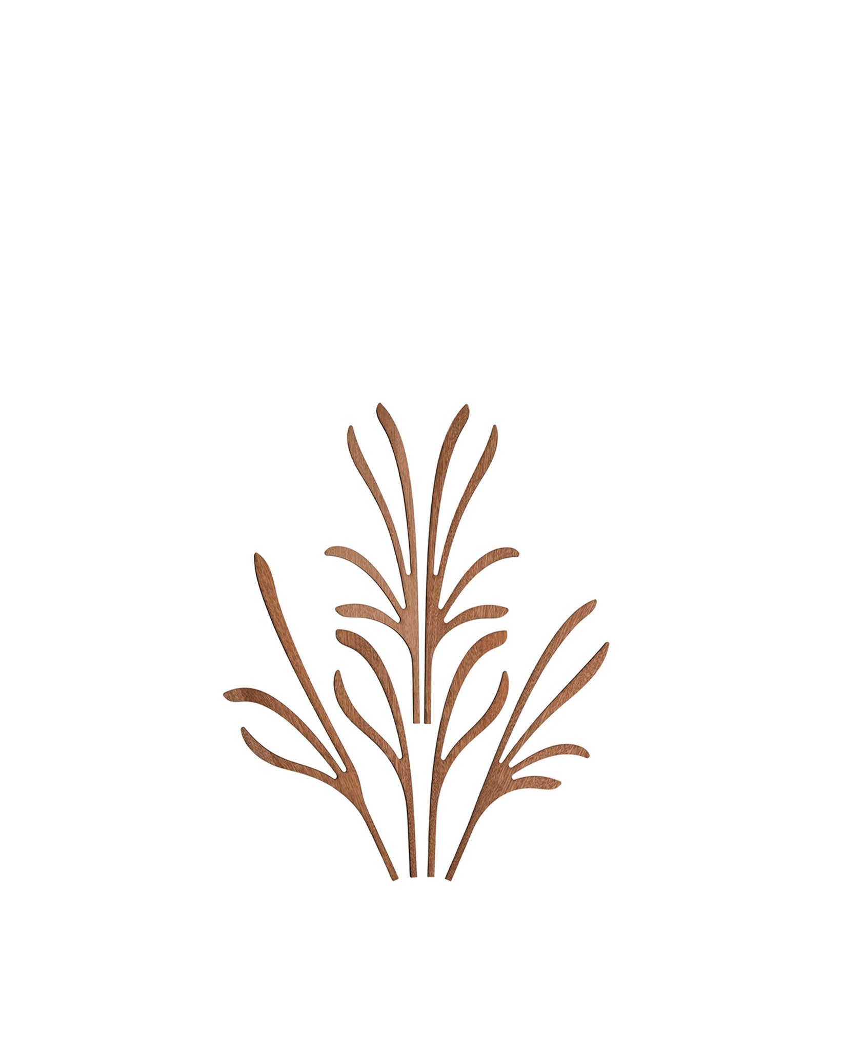 The Five Seasons Default Title Fragrance diffuser leaves. Grrr Alessi