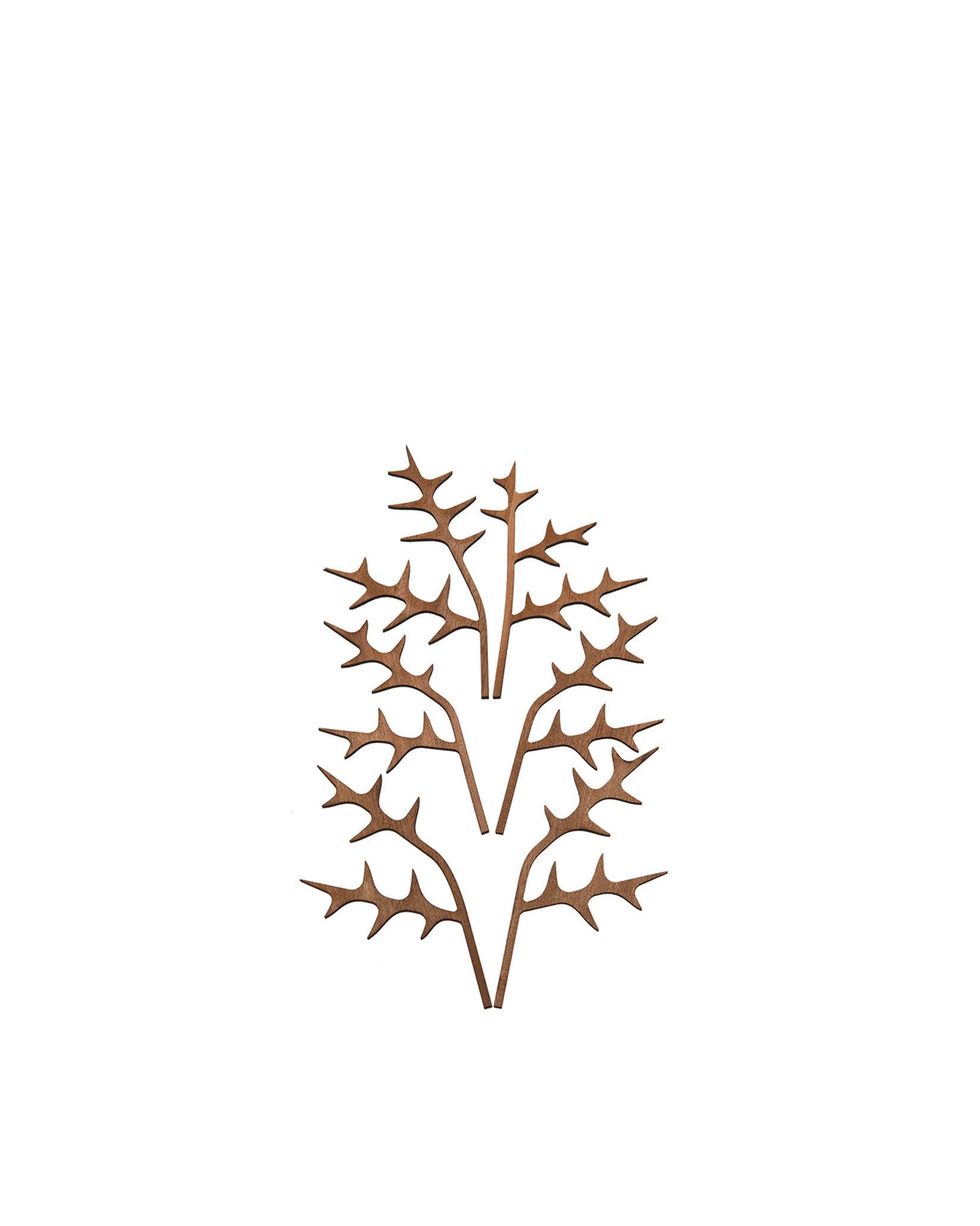 The Five Seasons Default Title Fragrance diffuser leaves. Ohhh Alessi